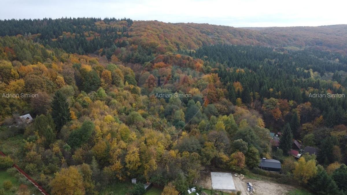 Teren de vanzare in Faget 1542 mp cu panorama - 18