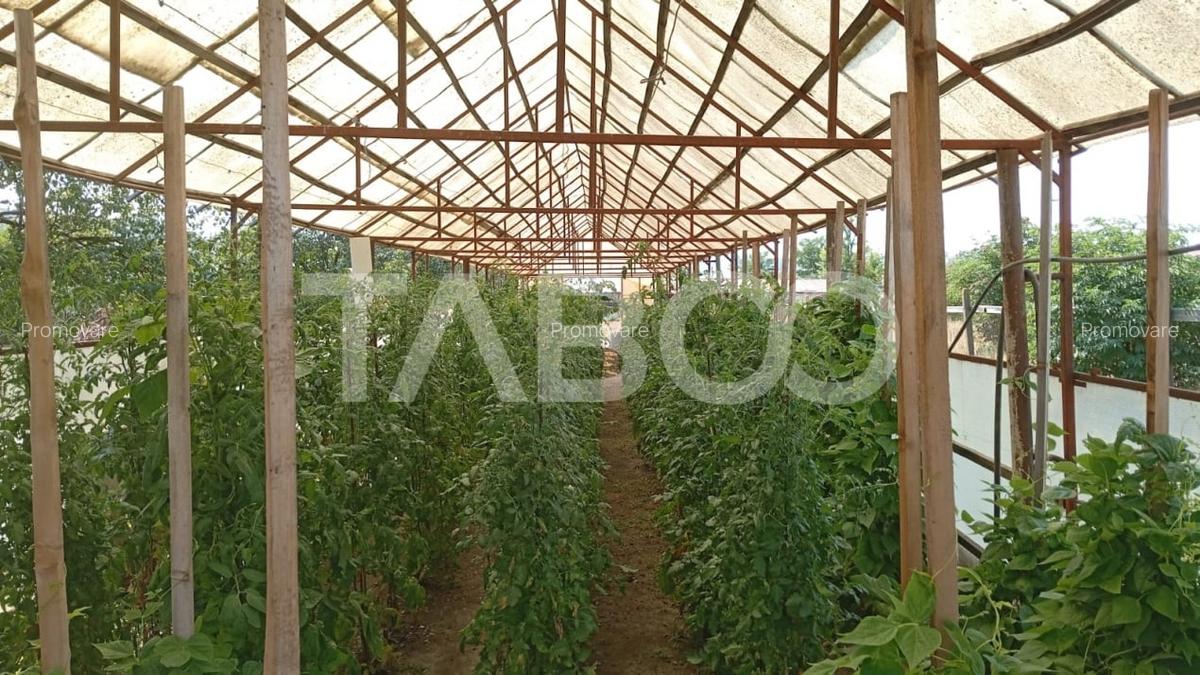 Casa cu curte si gradina de vanzare in Sebes judetul Alba - 11