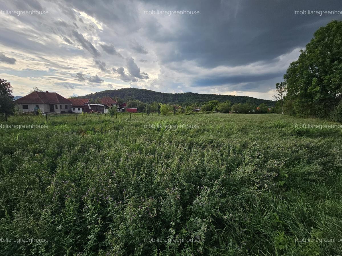 Casa cu teren , localitatea Birtin - 1