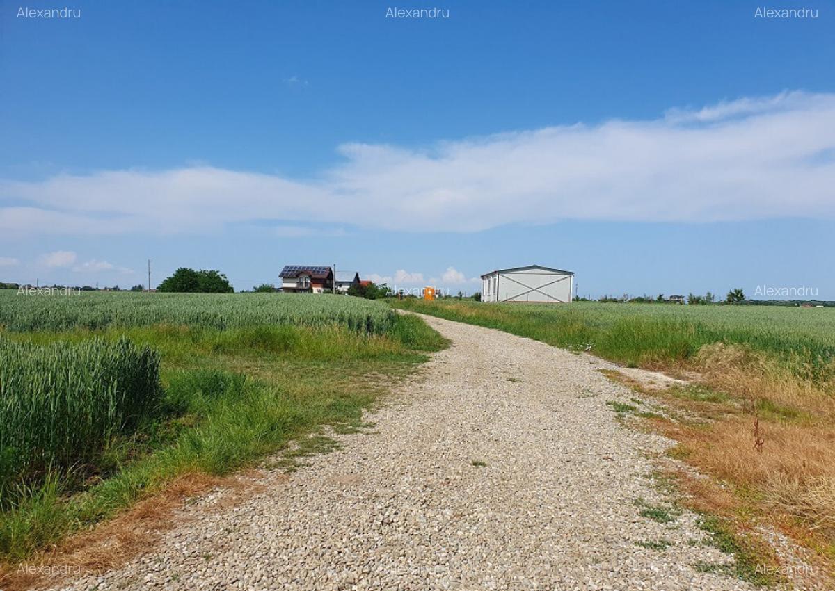 Teren cu vedere la lac Balotesti 600mp - 2