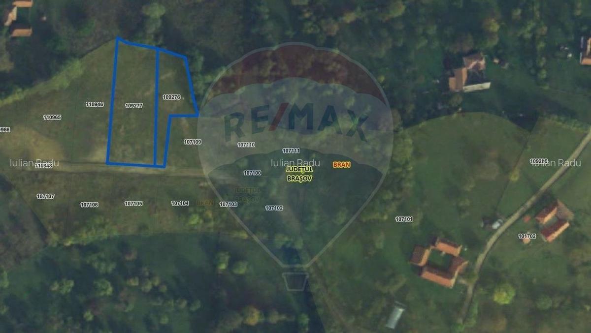 Comision 0% | Teren intravilan 3000 mp| Sohodol | Cadru natural de vis - 6