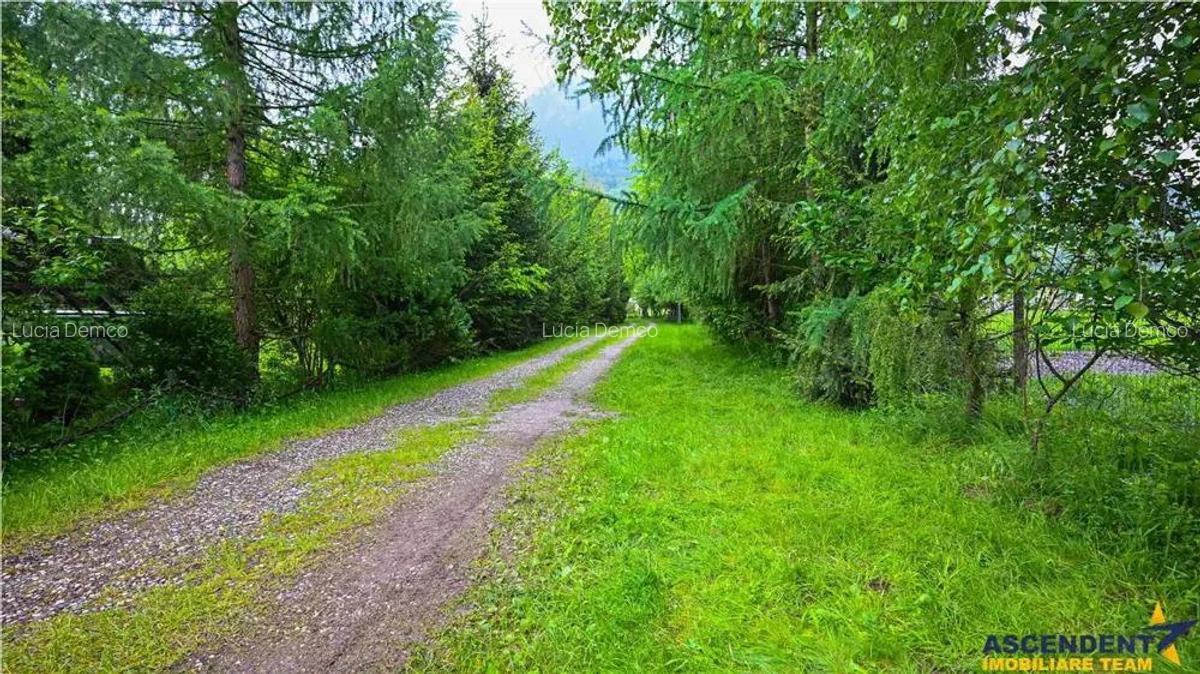 In cartea de povesti a Pietrei Craiului, ansamblu turistic functional, in Plaiul Foii - 5