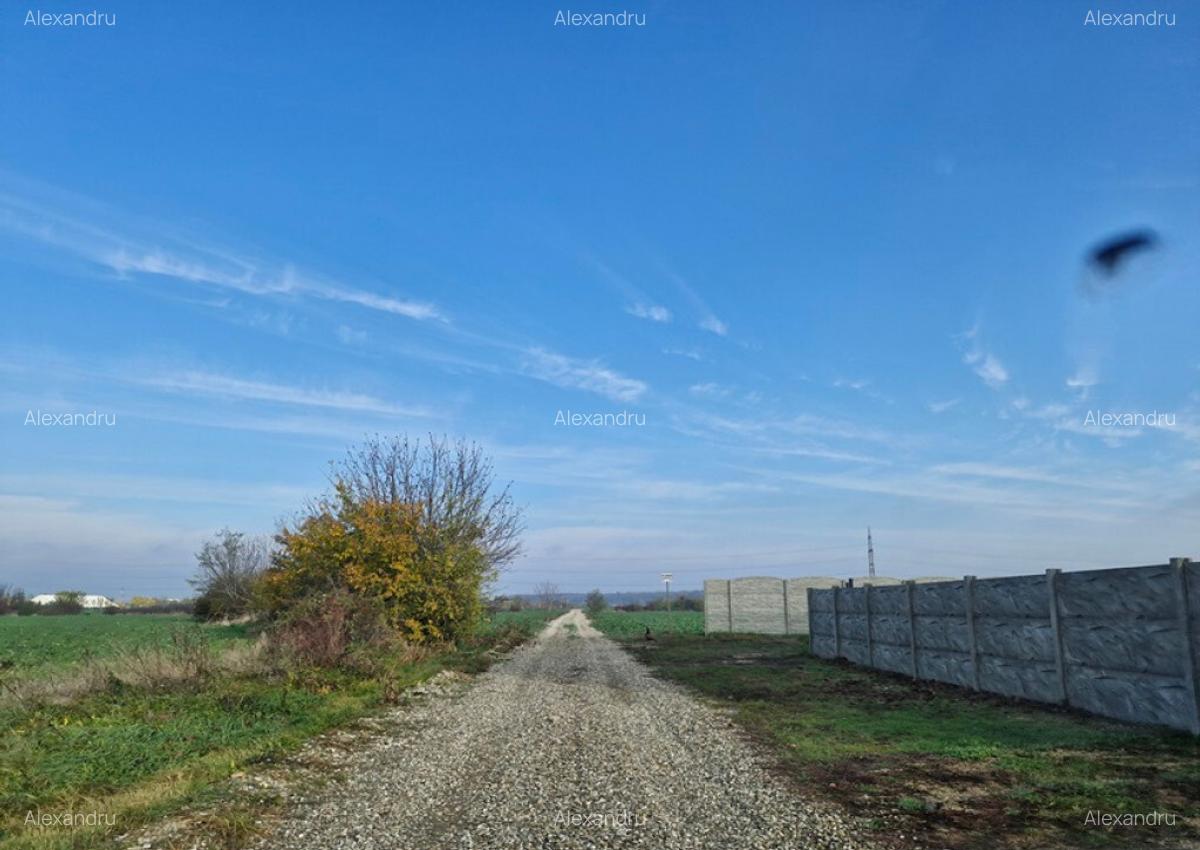 Teren langa case cu utilitati, lac la 300 metri, 700 mp - 5