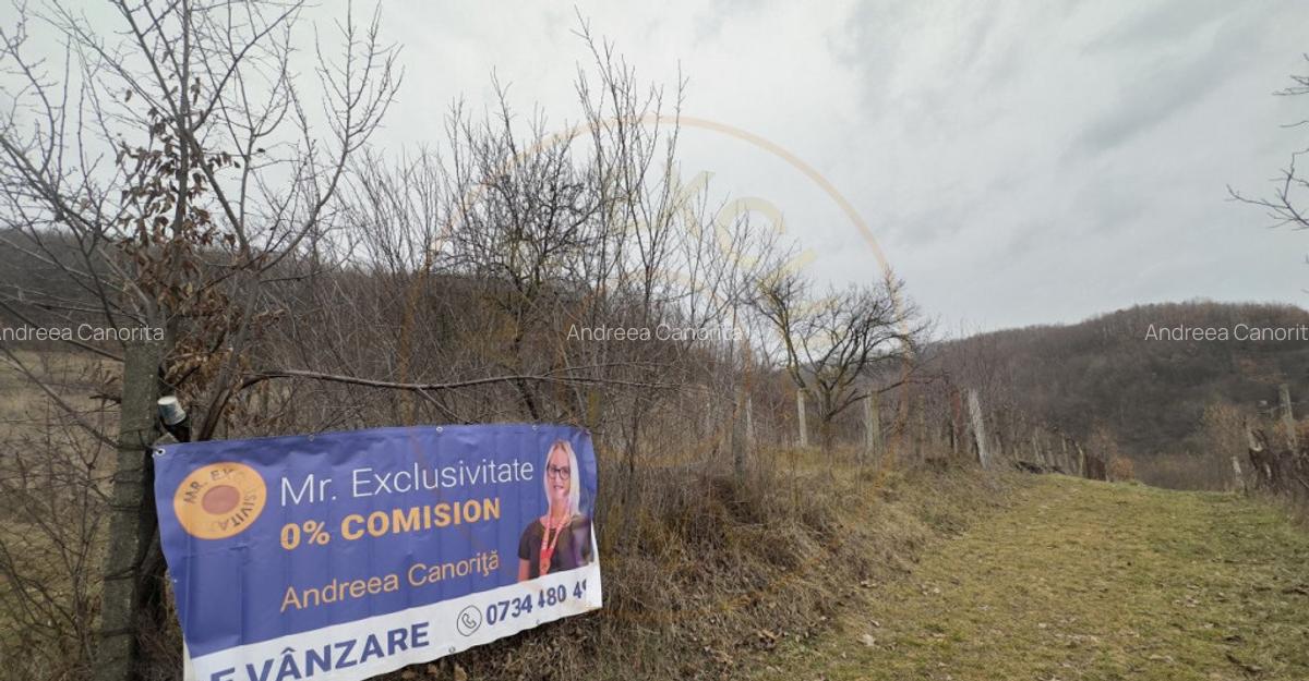 0% Comision Teren intravilan 814 MP-Stefanesti-Valea Mare Po - 1