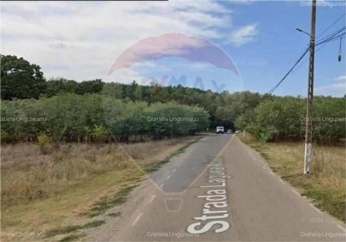 Teren intravilan 4285 mp Corbeanca Laguna Albastra deschidere la lac - 3
