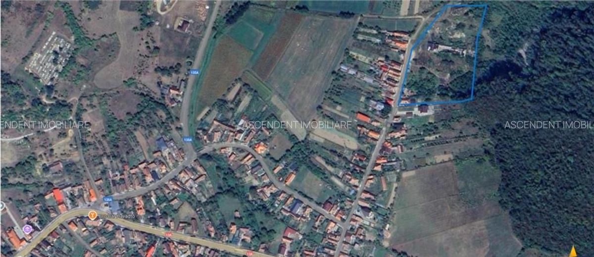 Amplasament de 13.500 mp:oportunitate unitate de prelucrare - 4