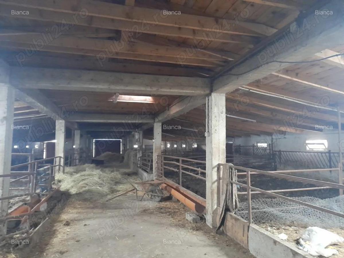 Ferma de inchiriat teren 21.000 mp, utilita?i complete pt activitate agricola si sau logistica - 9