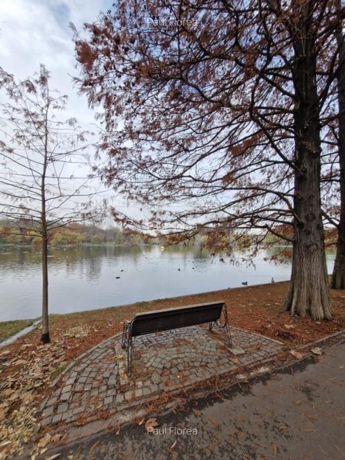 Apartament cu 2 camere la 12 minute de metrourile Dristor 1 si Grigorescu - 29