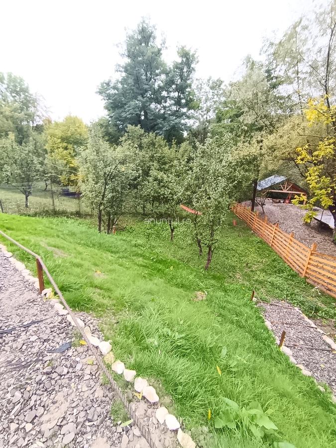 Campina, Valea Prahovei, Valea Doftanei - 8 Campina, Valea Prahovei, Valea Doftanei - 8