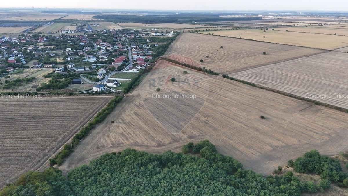 Ocazie investitie, teren intravilan Tamasi / Buftea - 3