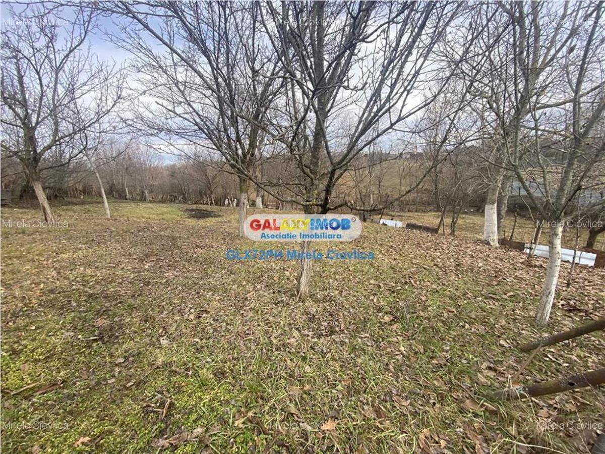 Vanzare casa Baicoi Prahova zona Dambu - 4