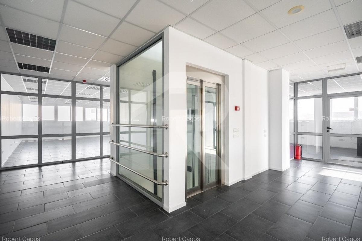 CHIAJNA-DEPOZIT LIDL, BIROURI 2300 MP SI HALA 2750 MP, TEREN 7500 MP. - 11