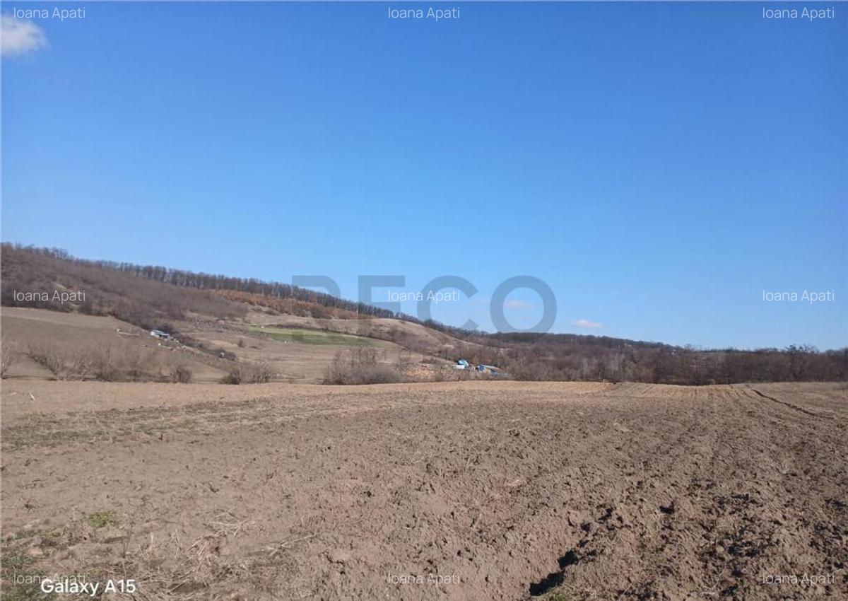 RECO teren Mierlau - 3