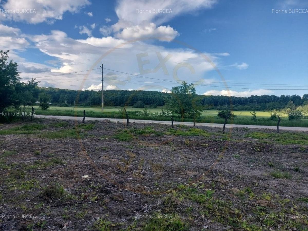Teren intravilan 1843 mp - Cerbu/Albota/Arges - cu proiect de casa pe parter - 3