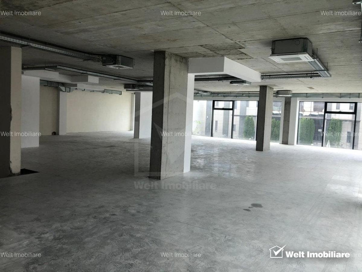 Spatiu comercial sau servicii, 223 mp, Marasti zona Farmec - 2