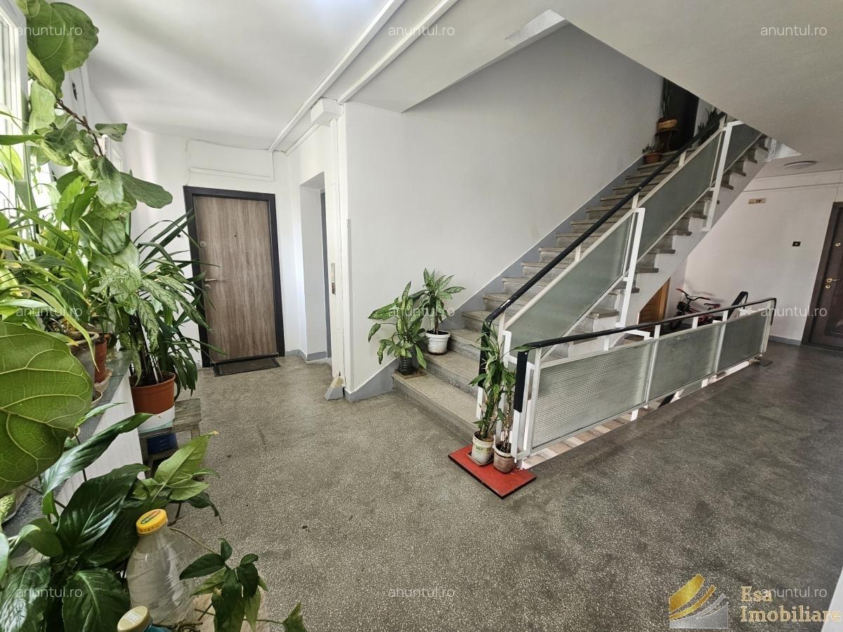 Dumul Taberei, Moghioros - 6 Dumul Taberei, Moghioros - 6