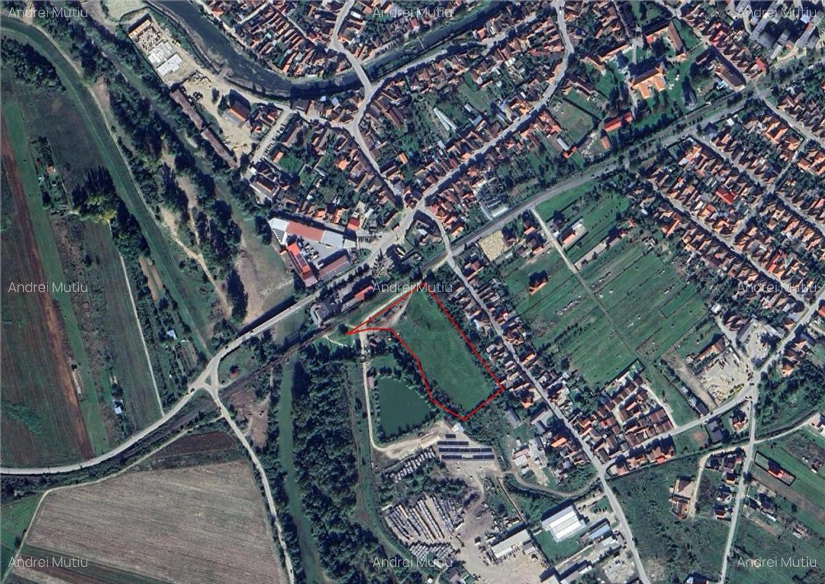 RECO Teren intravilan 13.500 mp Beius - 3