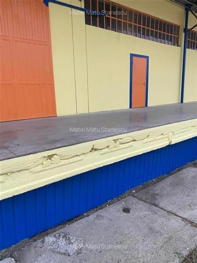 Spațiu industrial, 1040 mp în Șagului - 6