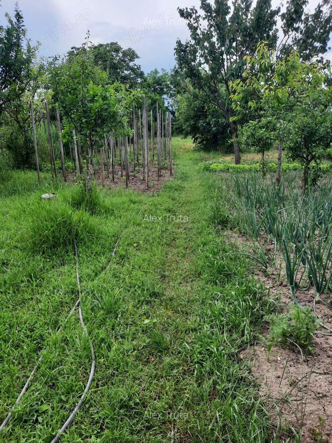 Vand casa in comuna Ciugud, sat Ciugud - 4