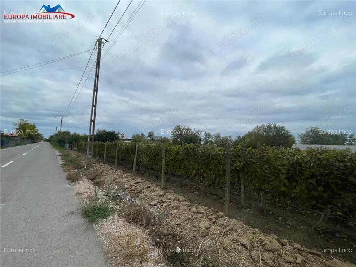 Teren de vanzare in localitatea Iazurile judetul Tulcea - 10