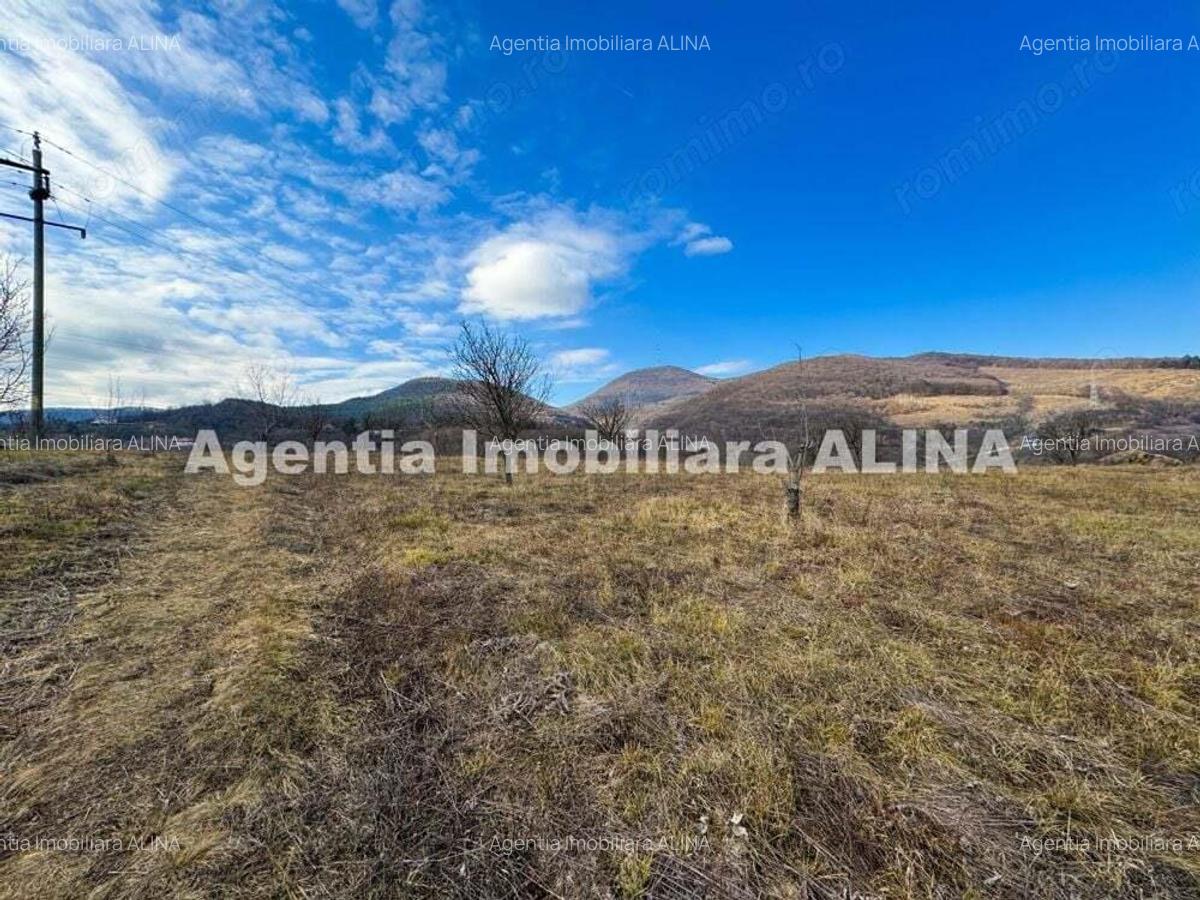 15 parcele de Teren intravilan in Deva, zona Calugareni, Strada Prunilor, Jud. Hd, cu PUZ, PUD, etc. - 1