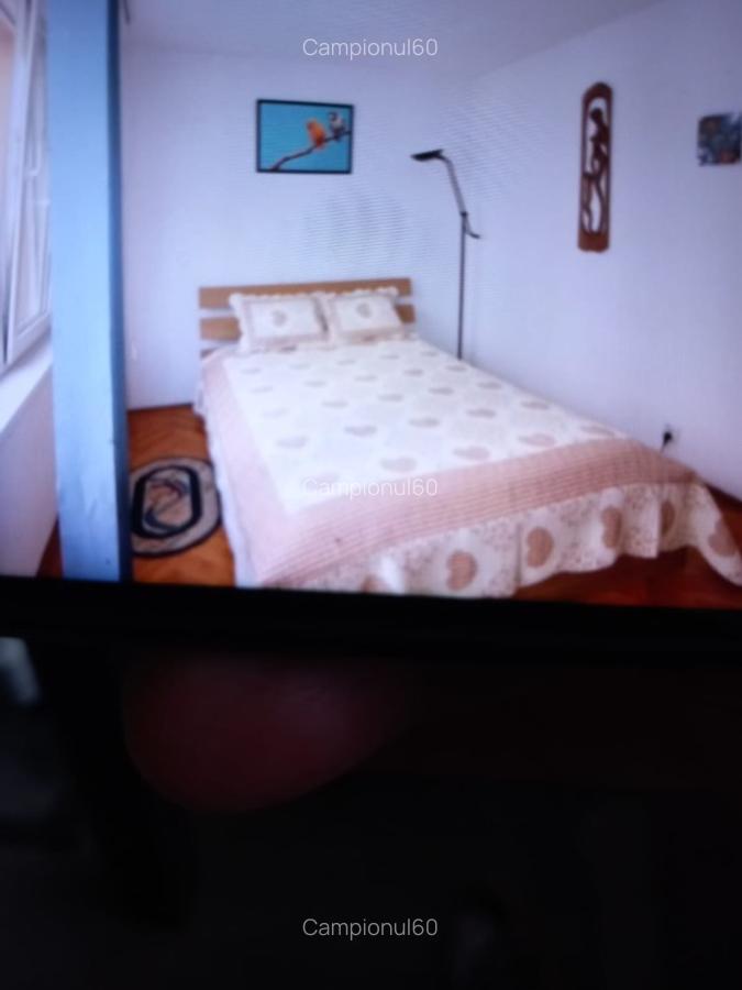 Apartament  2camere Sala  Palatului - 2