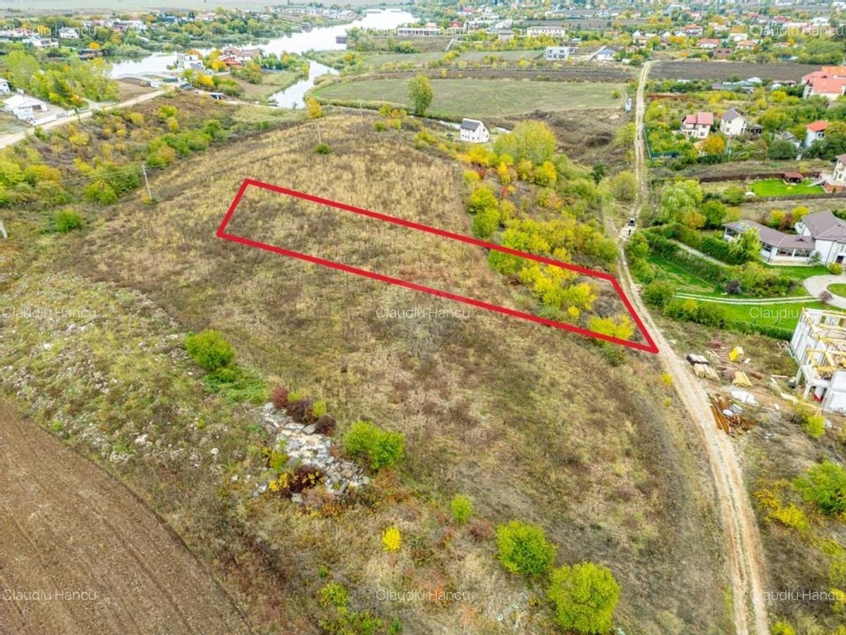 Teren 3000 mp in Snagov - zona in dezvoltare, aproape de padure - 8