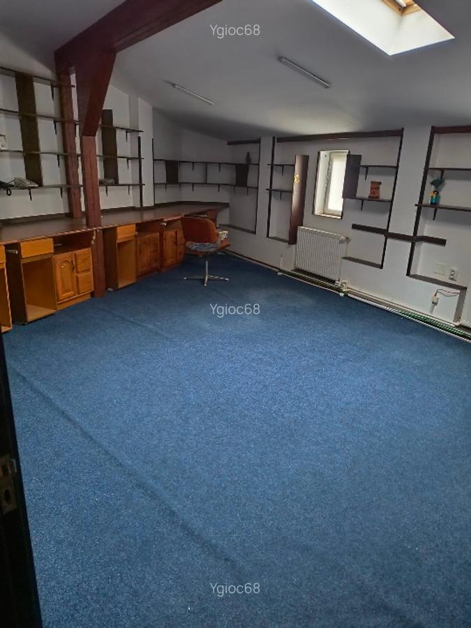 Vila zona Știrbei Vodă Cișmigiu - 4