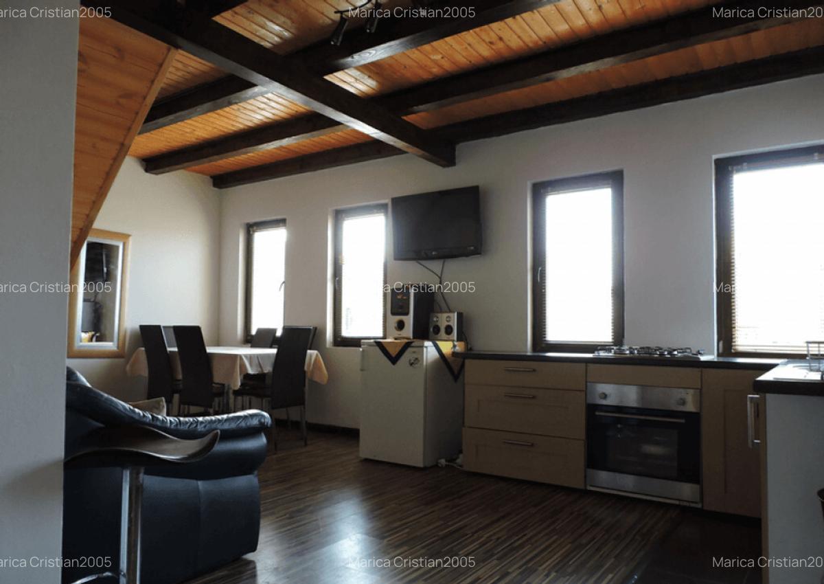 Cabana Cristian Figa V. ?i inchiriere Revelion ?i Craciun - 3