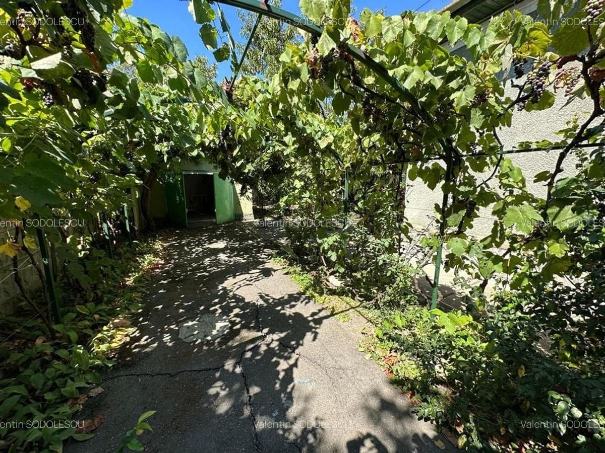 Casa cu teren 1394 mp - 12
