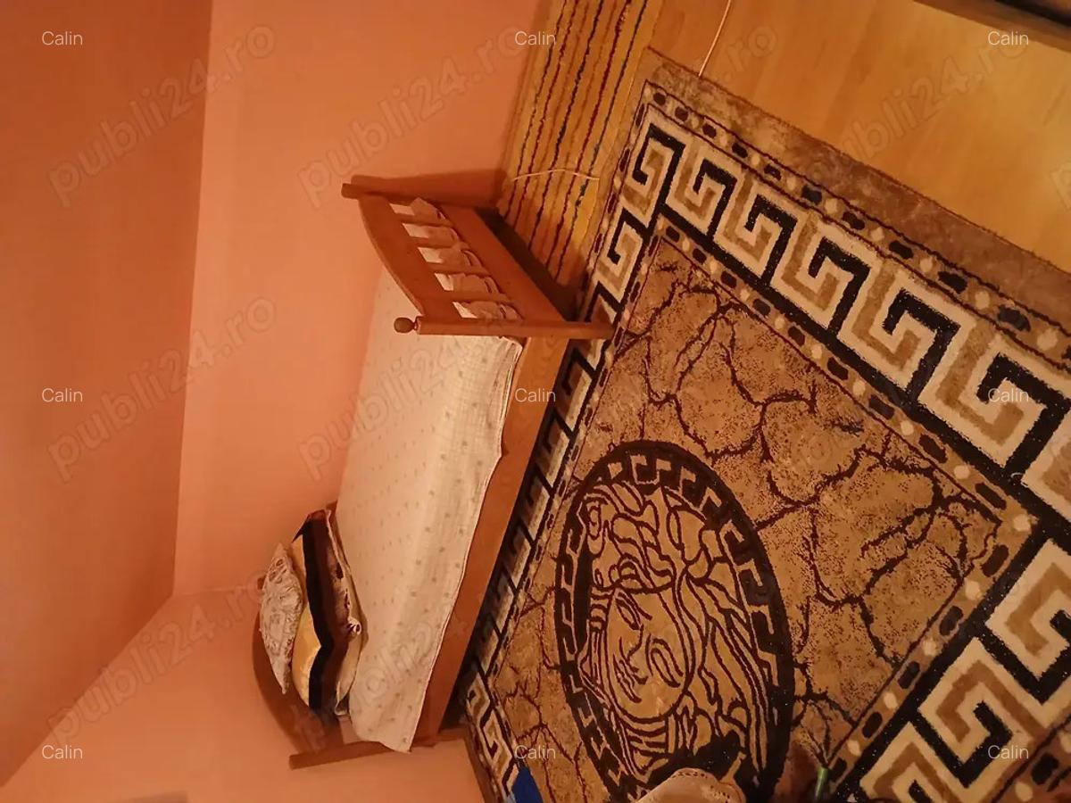 Casa de vanzare ,Comuna Fardea , Lac Surduc - 4