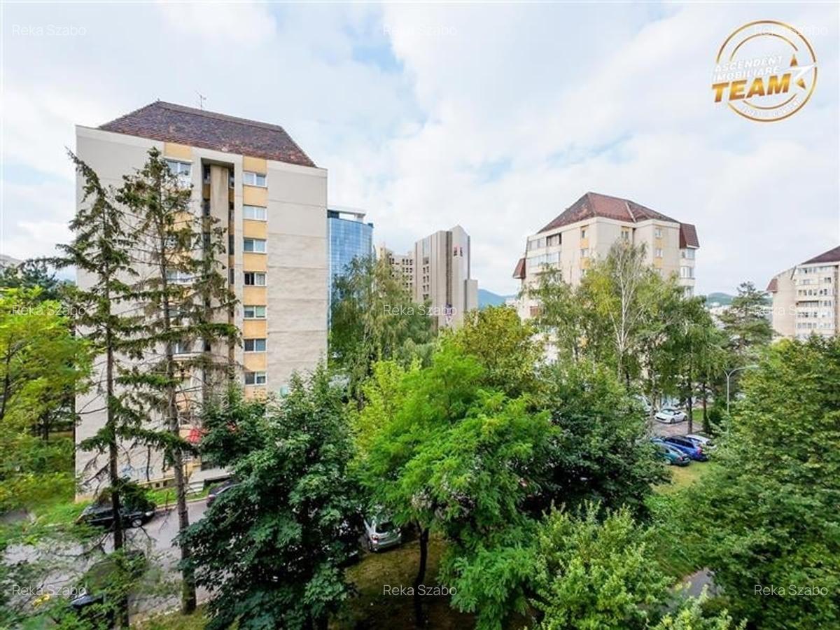 Apartament cu 3 camere semidecomandat, mobilat în Centrul Civic - 3