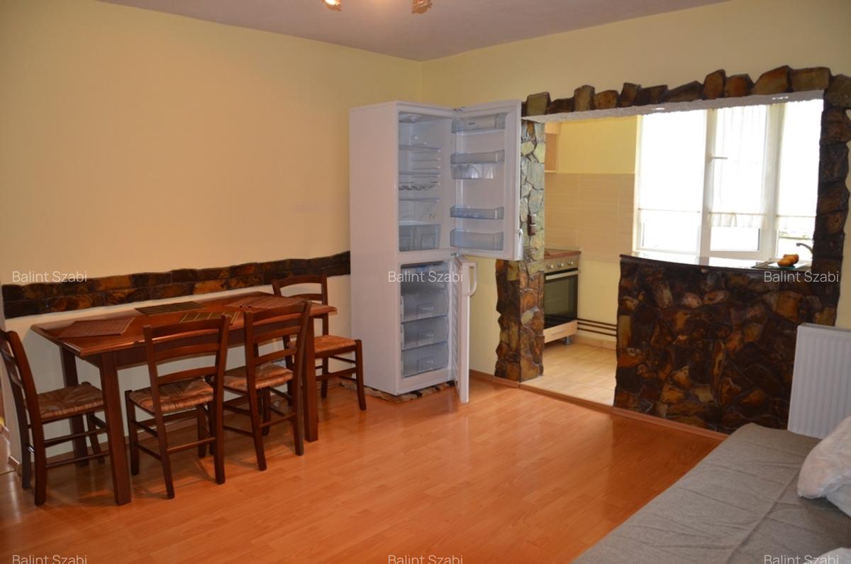 Aradului 3 camere 350 euro - 1