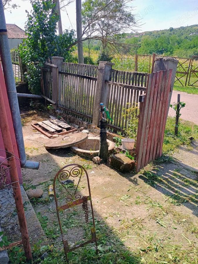 Casa + bucatarie de vara+gradina - 2