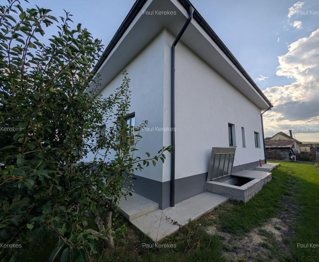 Proprietate mixtă rezidențial + comercial, 1.400 mp teren, Fundătura - 5