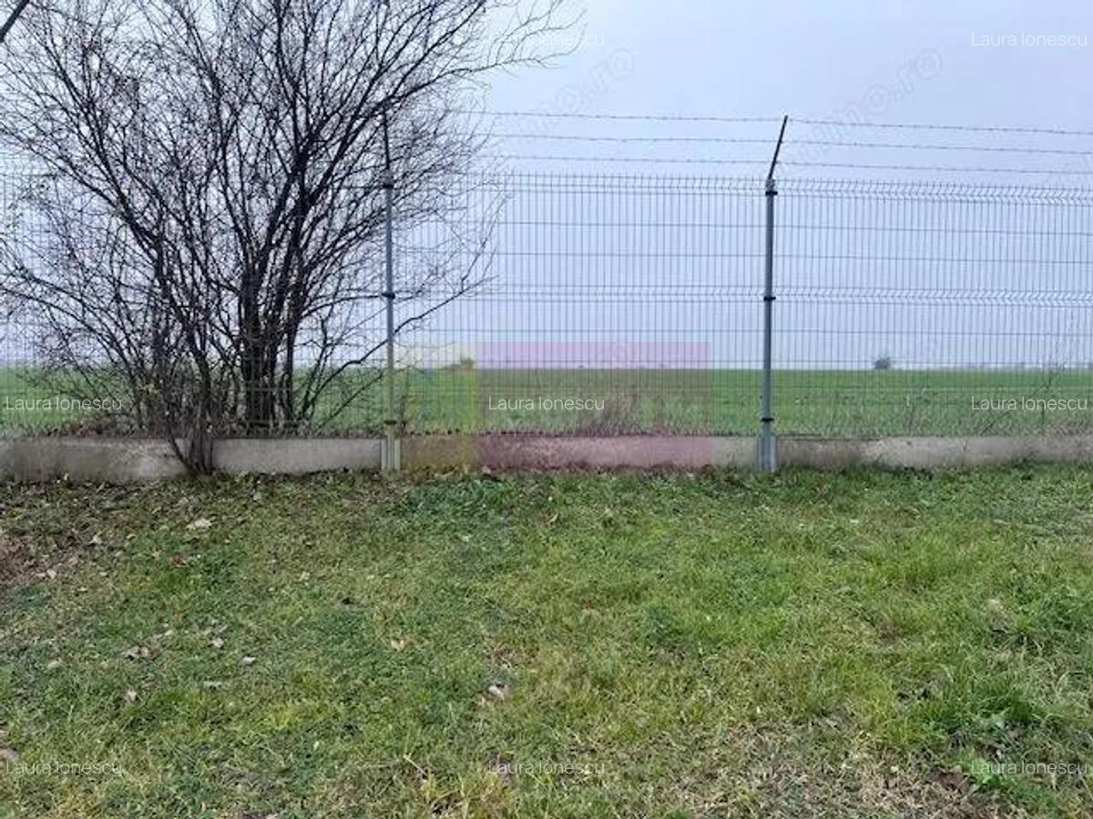 Teren Domnesti- Depozit Altex, Emag. - 2