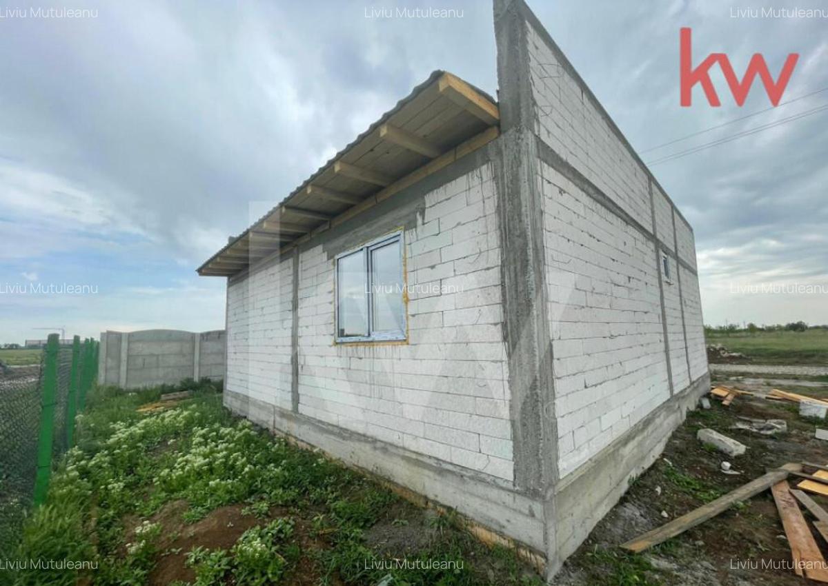Casa in constructie, Carcea - 4