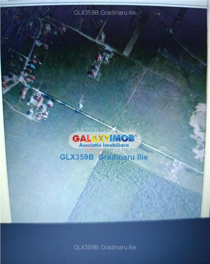 Teren 2000 mp in Magurele Ilfov - 1