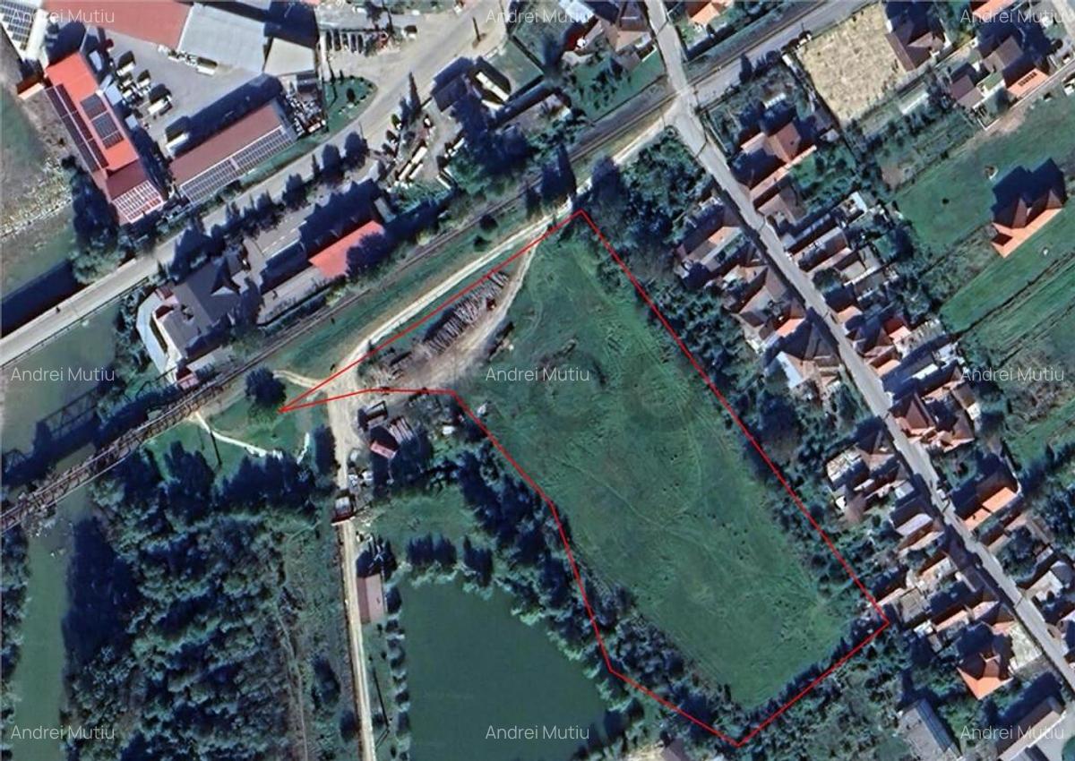 RECO Teren intravilan 13.500 mp Beius - 1 RECO Teren intravilan 13.500 mp Beius - 1