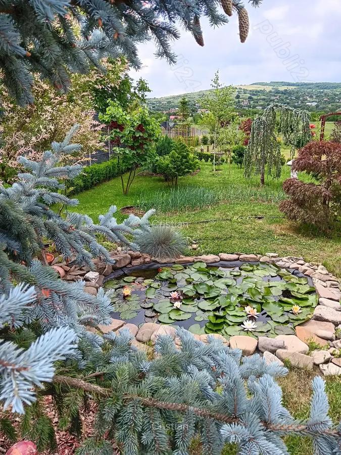 Urgent .Proprietar, parter la casa cu etaj, Mogosesti - Iasi, 10 km - 6