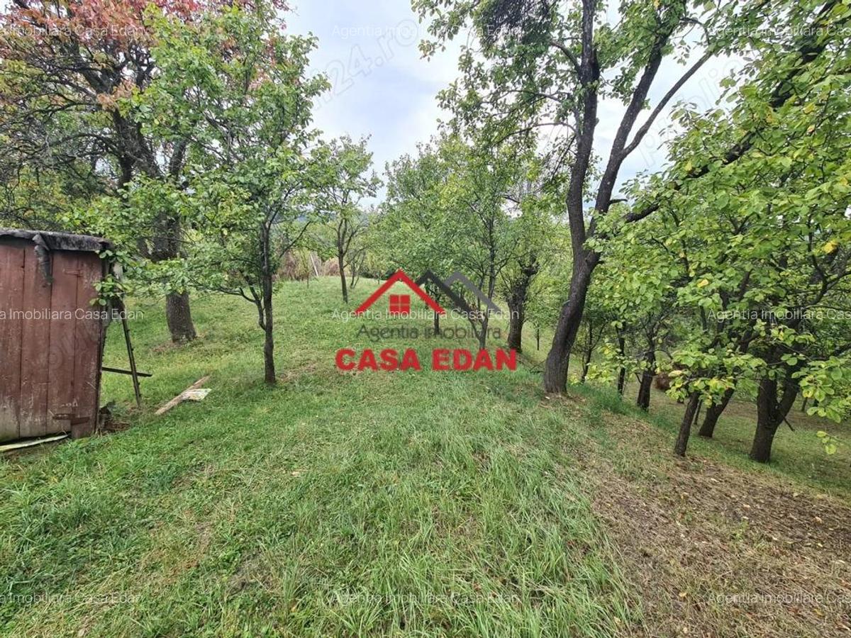 Teren intravilan in Sotrile--1671m--13e - 10