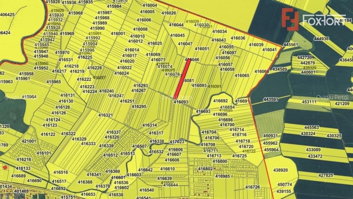 COMISION 0% Teren extravilan agricol, Sacalaz - 20.000 mp - 5