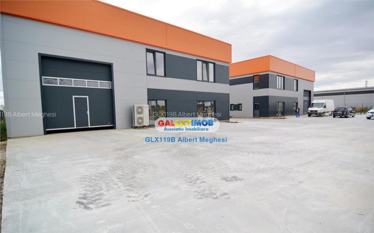 Hala 482 mp Chiajna Centura - 9