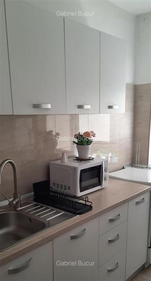Apartament 2 Camere Decomandat Berceni-Turnu Magurele - 3