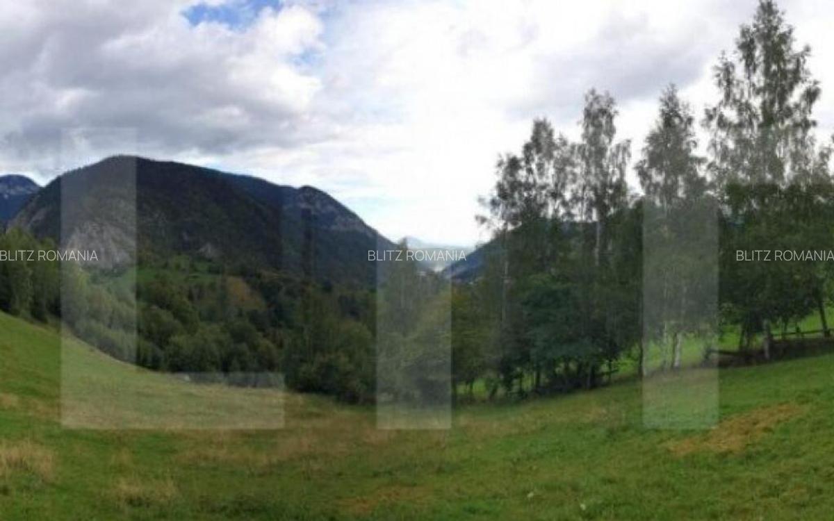Teren 13.570 mp, Moieciu Pestera - 3