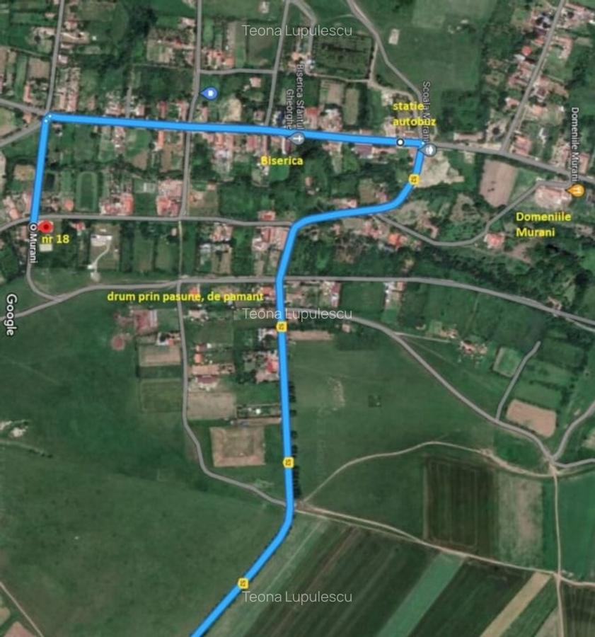 Teren intravilan 1584 mp in Murani - ideal pentru casa sau pensiune - 14