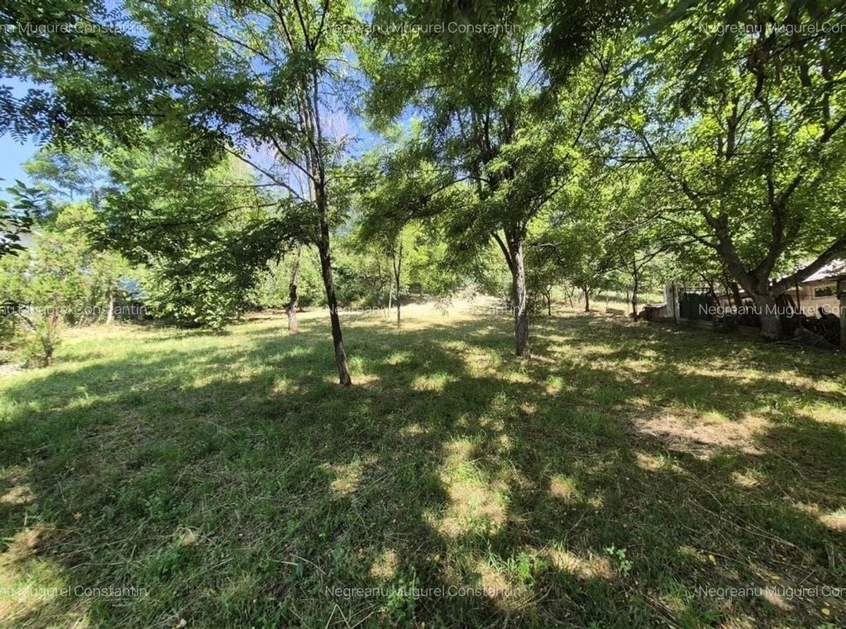 Casa Subsol+Parter +Mansarda 185 mp si teren intravilan 1670mp-Prahova - 32