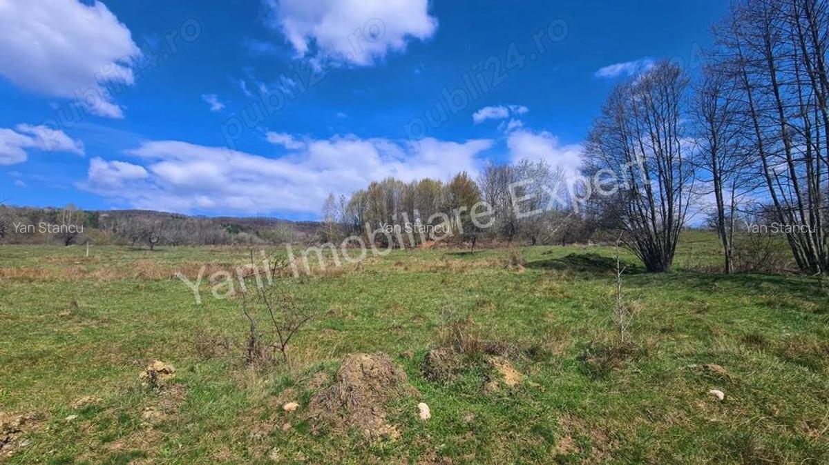Teren de vanzare in Curtea de Arge?, strada Bu?aga. - 11 Teren de vanzare in Curtea de Arge?, strada Bu?aga. - 11