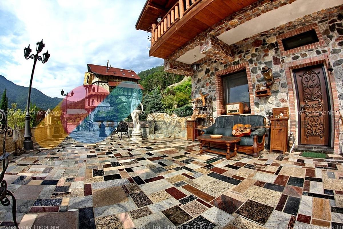 Complex  Printesa din Carpati  - Oportunitate de Investitie Unica pe Valea Aries - 2