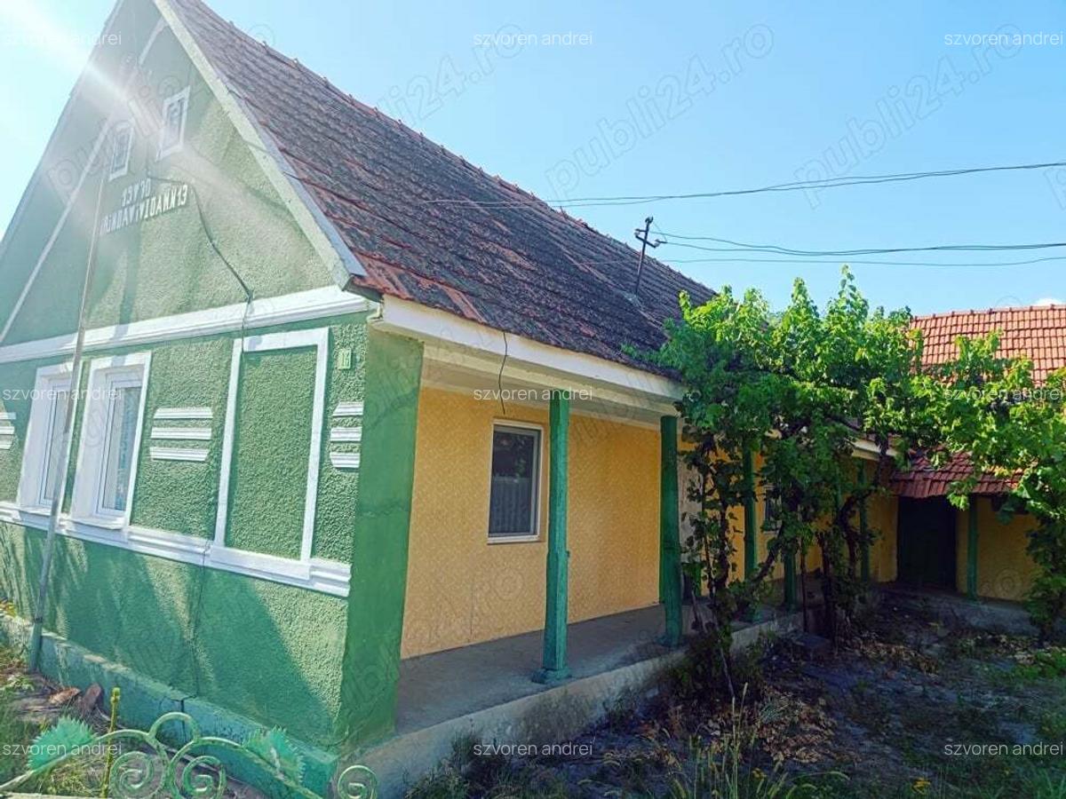 Casa de vanzare Sat Tes jud Timis - 1